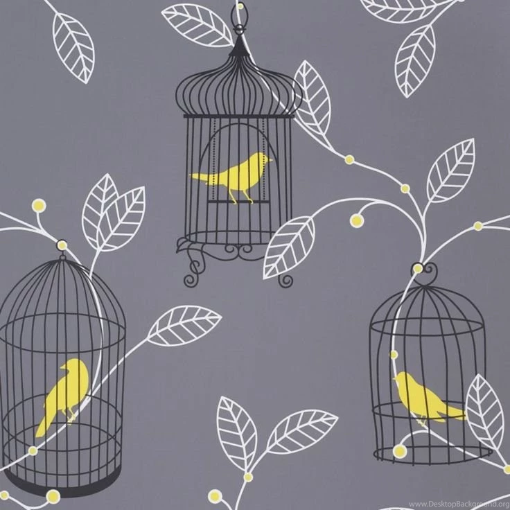 Aviary Grey & Yellow Birds Wallpapers