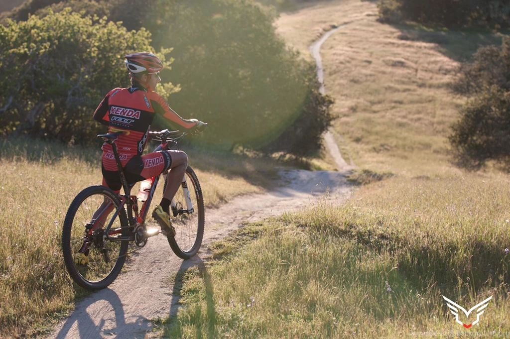 Wallpapers   Felt Bicycles