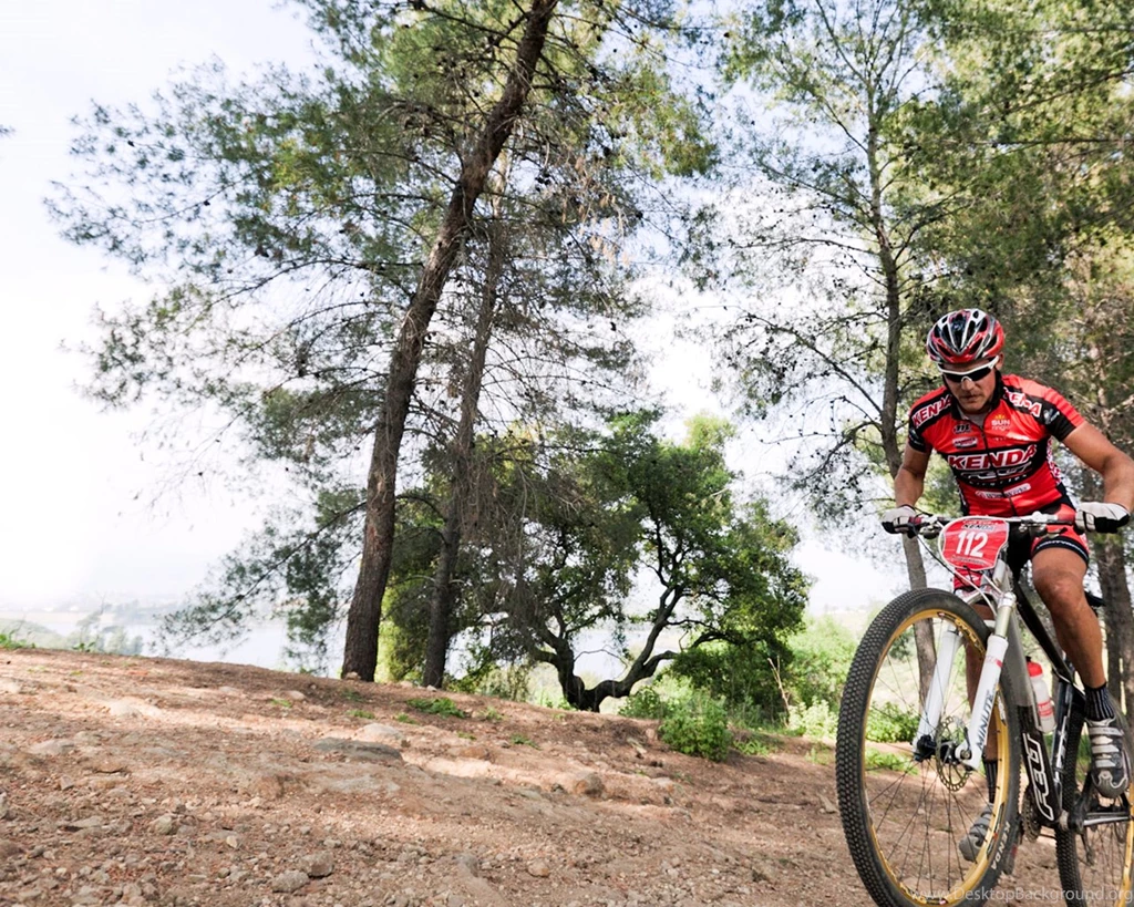 Wallpapers   Felt Bicycles