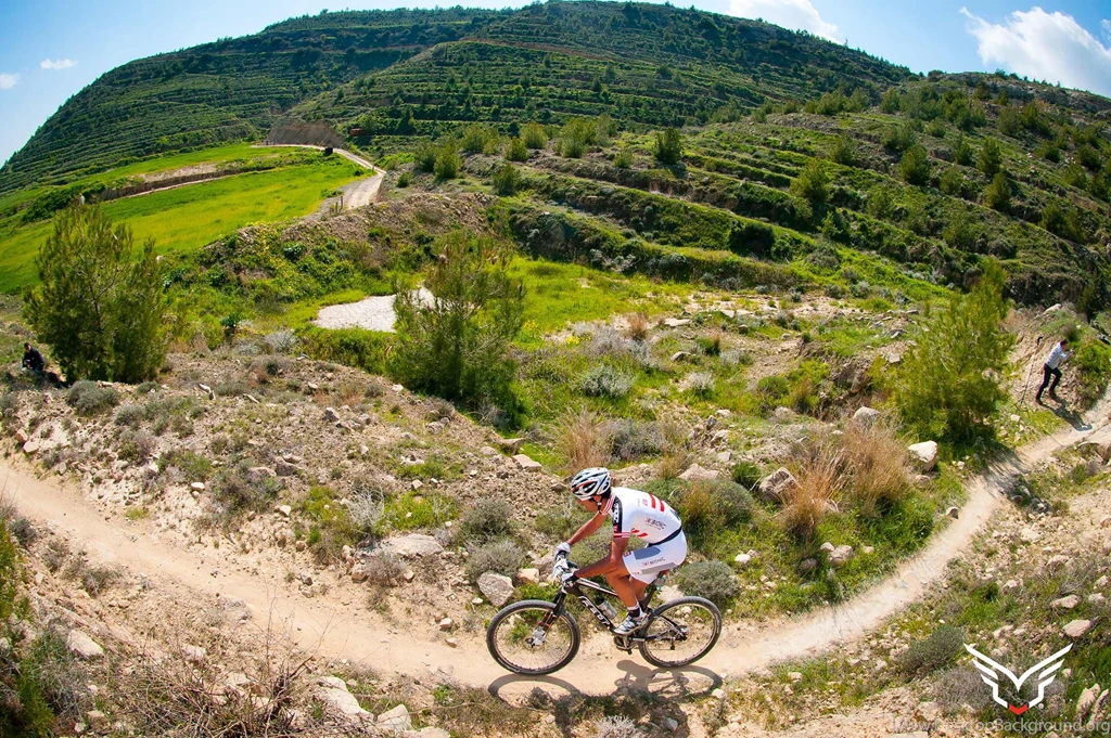 Wallpapers   Felt Bicycles