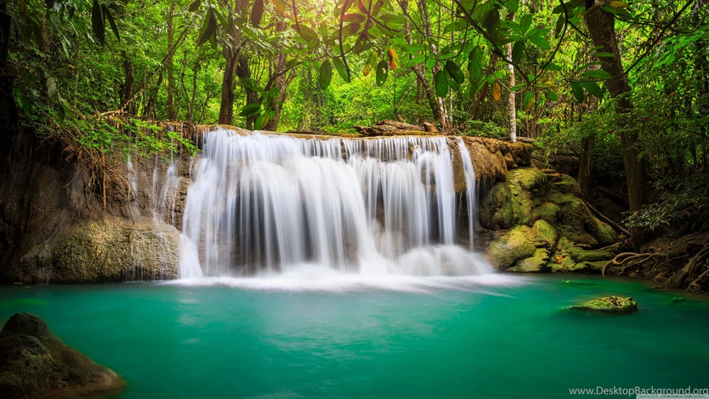 Rainforest Waterfall HD Desktop Wallpapers : Widescreen : High ...