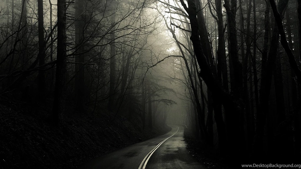 Spooky Forest HD Wallpapers