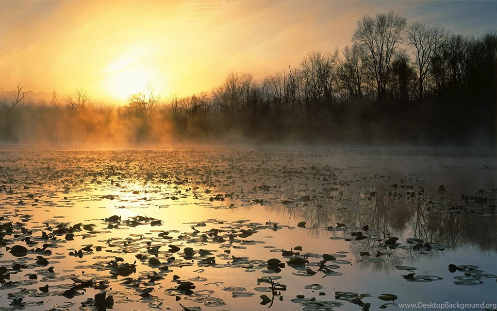 HDTV Widescreen Wallpapers Of Beaitiful Nature (Vol.5) 1366x768 NO ...