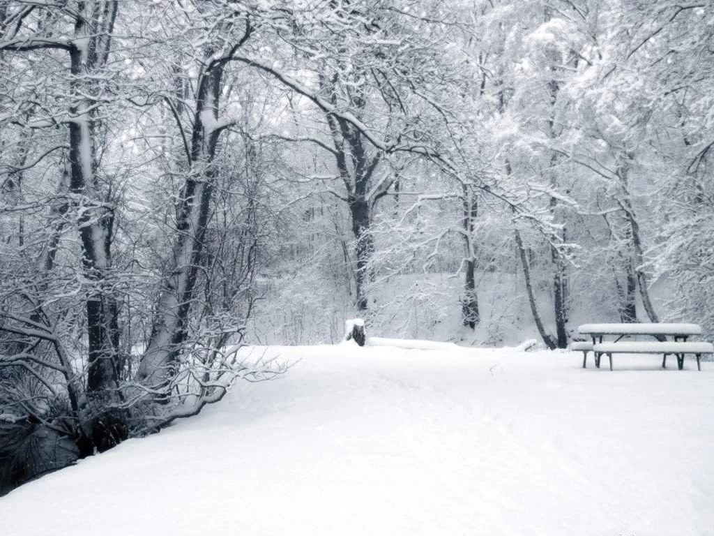 White Winter Snow