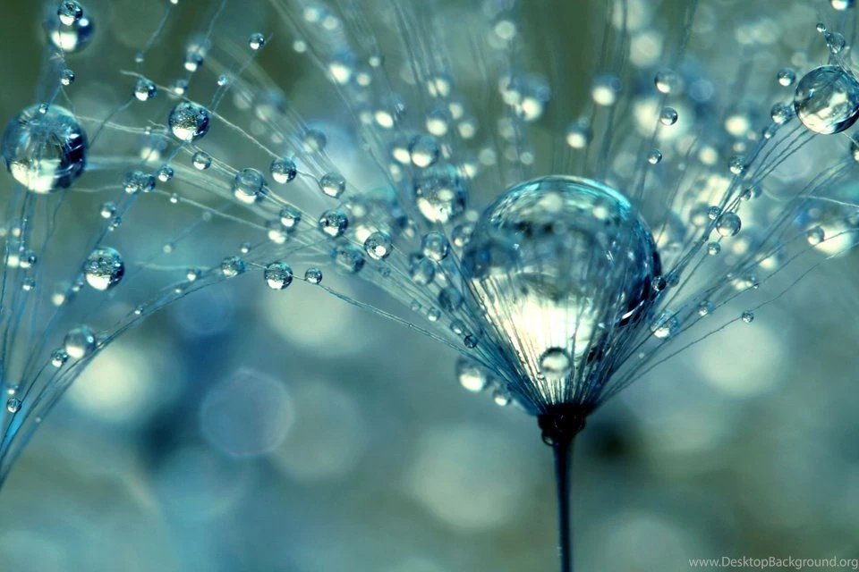 Beautiful Photography Wallpapers Wallpapers Zone