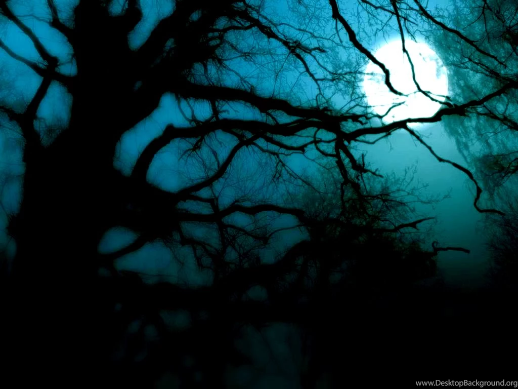 Best Backgrounds Elegant Y35DJ WALLEO.CO WALLEO.CO