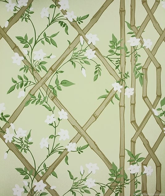 Jasmine Lattice Green Wallpapers