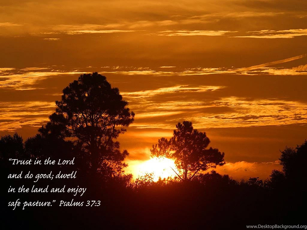 Download HD New Year 2016 Bible Verse Greetings Card & Wallpapers ...
