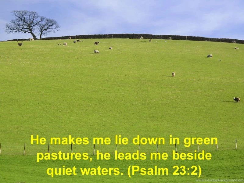 Artistic Bible Quotes Christian Verse Free