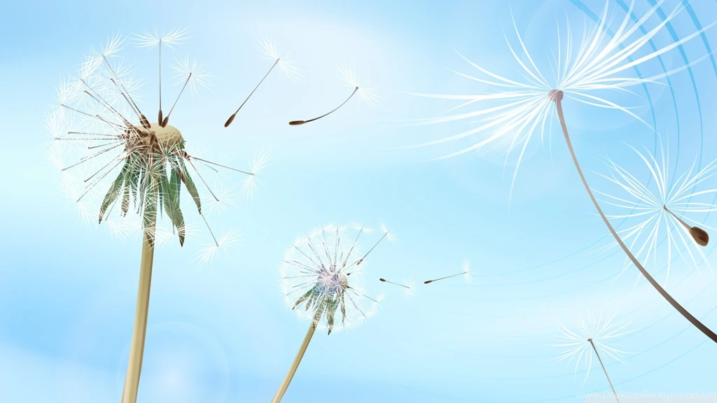 Blowing Dandelion Wallpapers Danasrhp.top