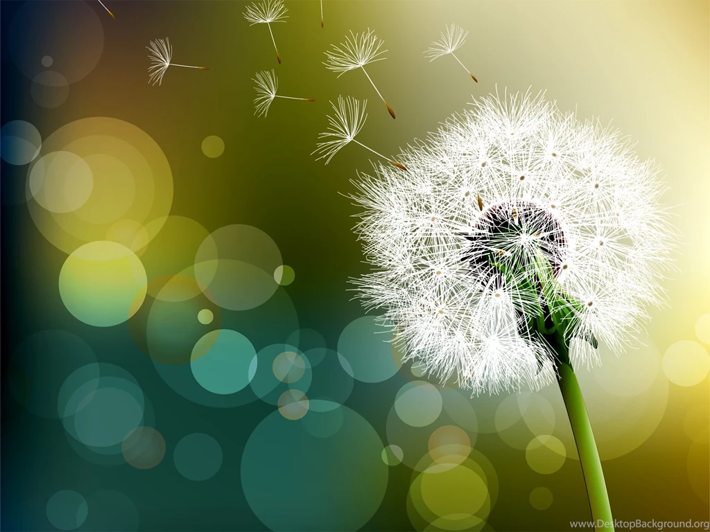 Dandelion Images