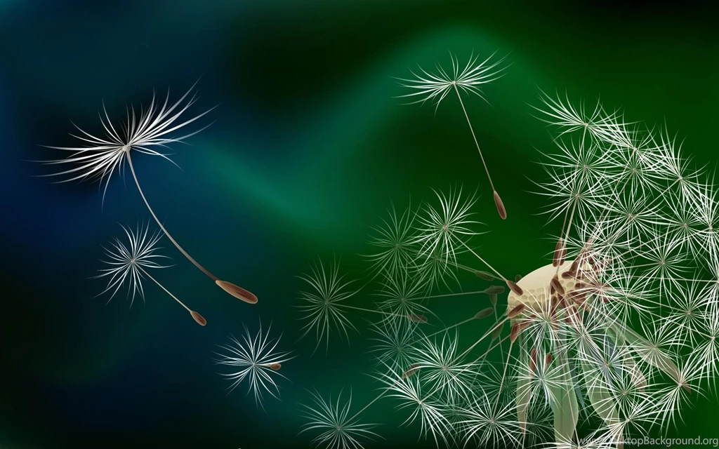 Dandelion Images