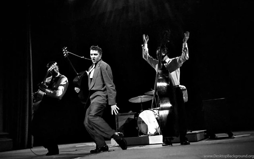 Elvis Wallpapers » Blog Archive » Elvis Presley Stage Show ...