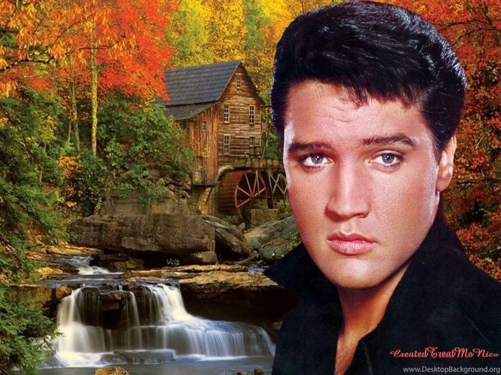 Free Elvis Wallpapers Wallpapers Cave