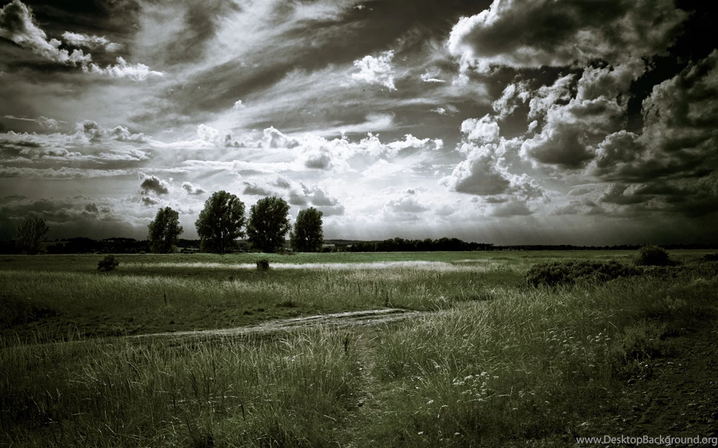 Download Wallpapers 3840x2400 Landscape, Black and white, Trees ...