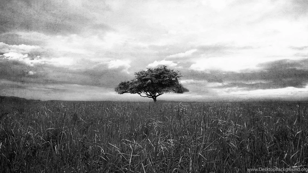 Nature & Landscape Black And White Vintage Scene Wallpaper. Black ...