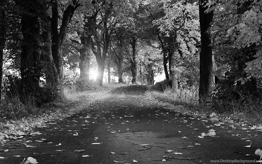 Nature & Landscape Black And White Autumn Breeze Wallpaper. Black ...