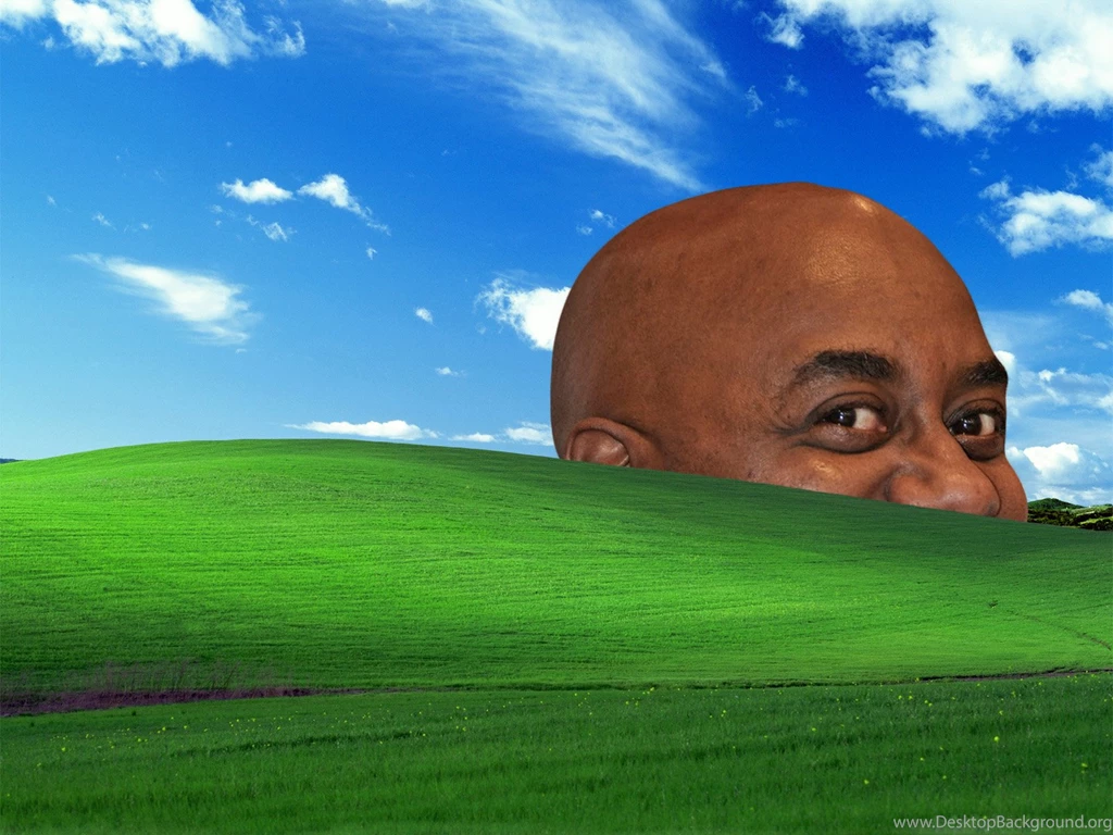 Funny Wallpapers