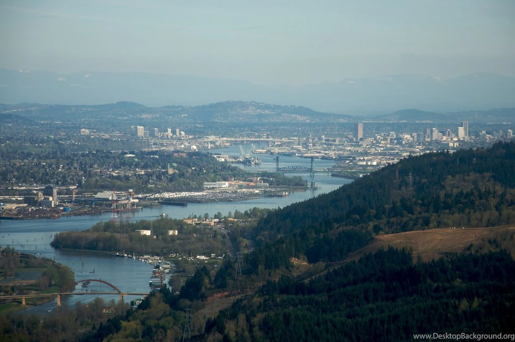 Guide To Dog Training In Portland