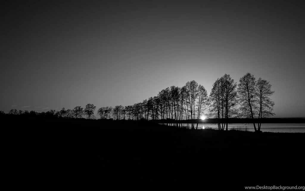 Nature & Landscape Black And White Sunset Silhouette Wallpapers ...
