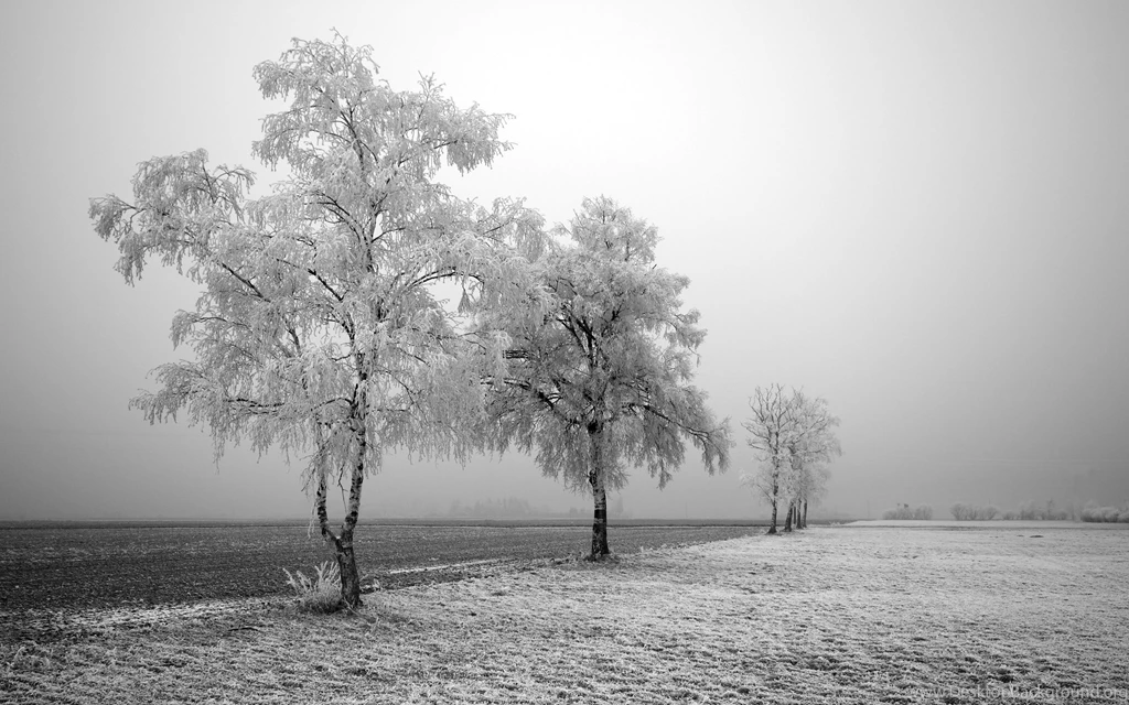 Black And White Wallpapers HD Free Download