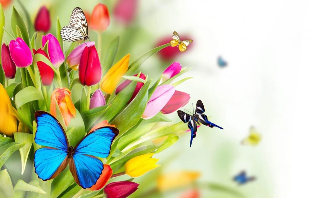 Spring Flower Wallpapers Android Apps On Google Play