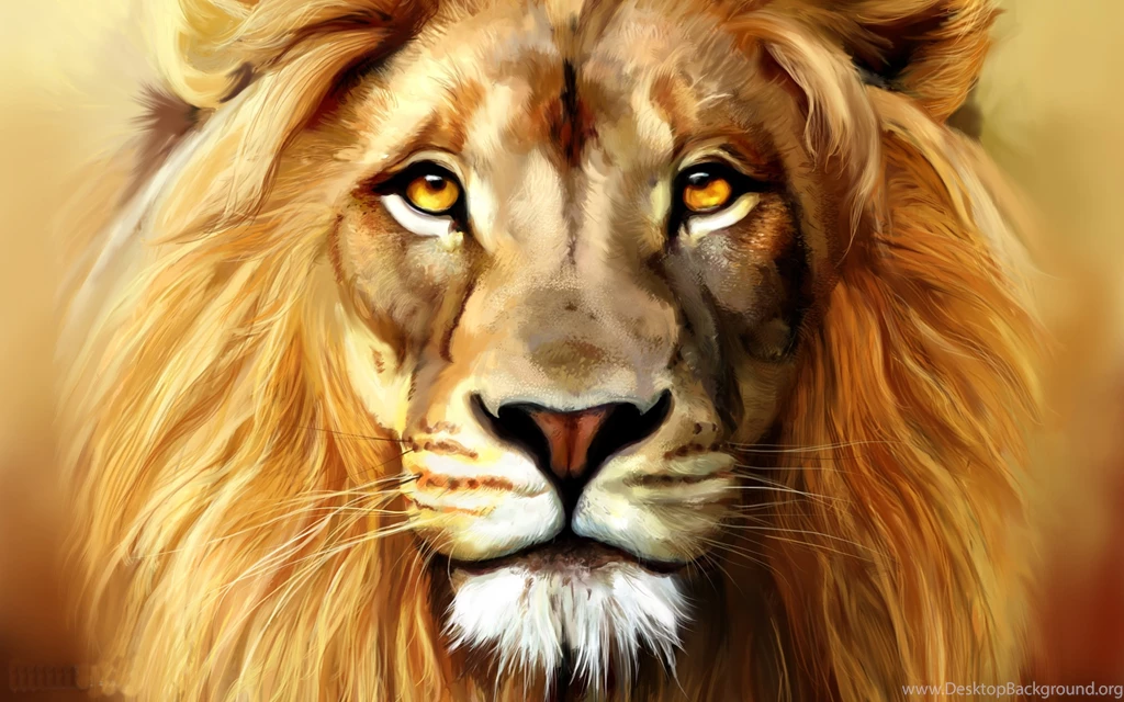 Lion Head Backgrounds