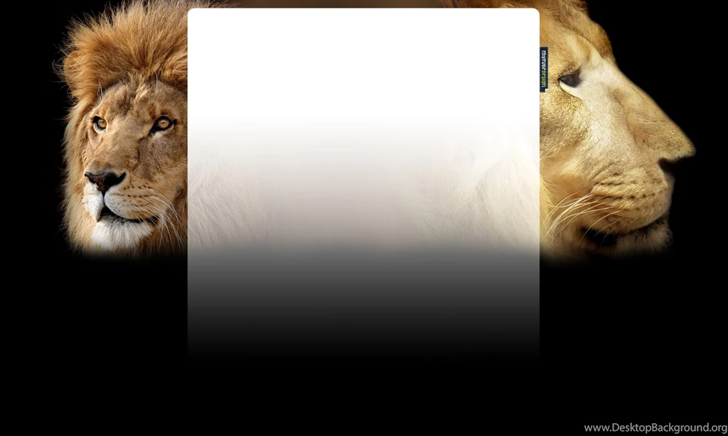 Lion X