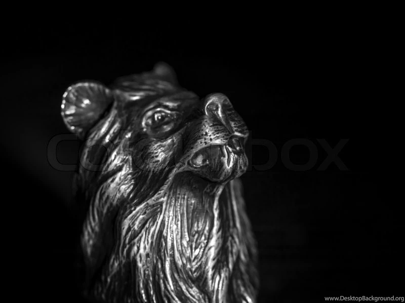 Bronze Head Of A Lion On A Black Backgrounds