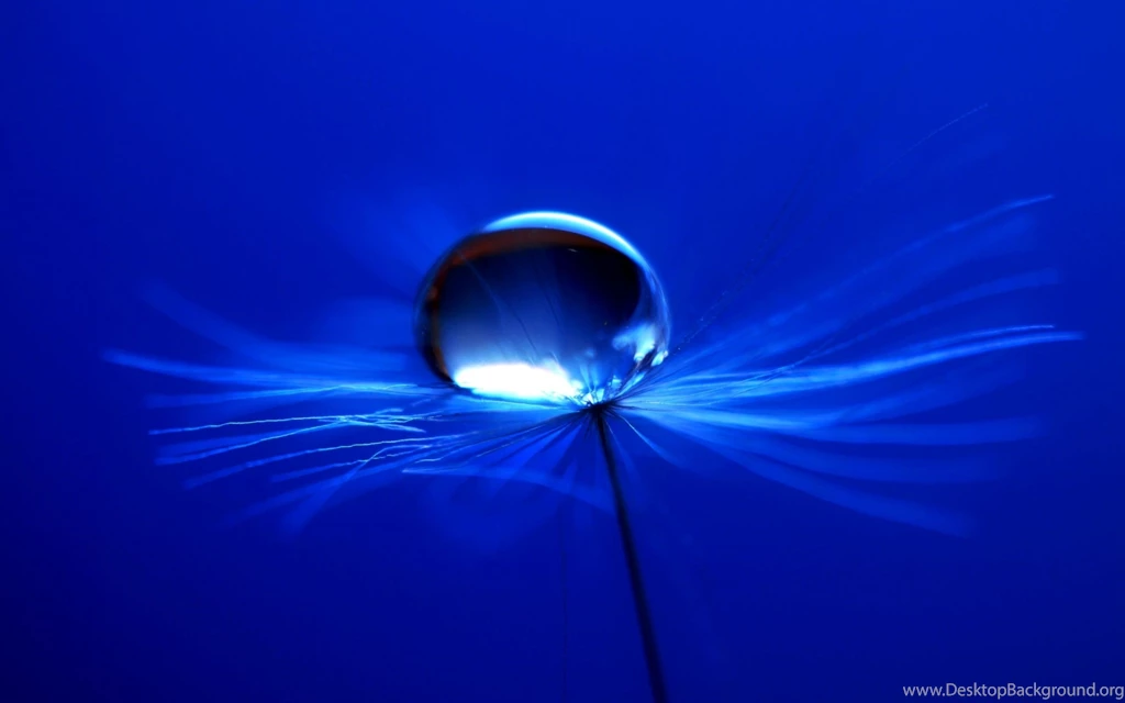 A Drop Of Dew