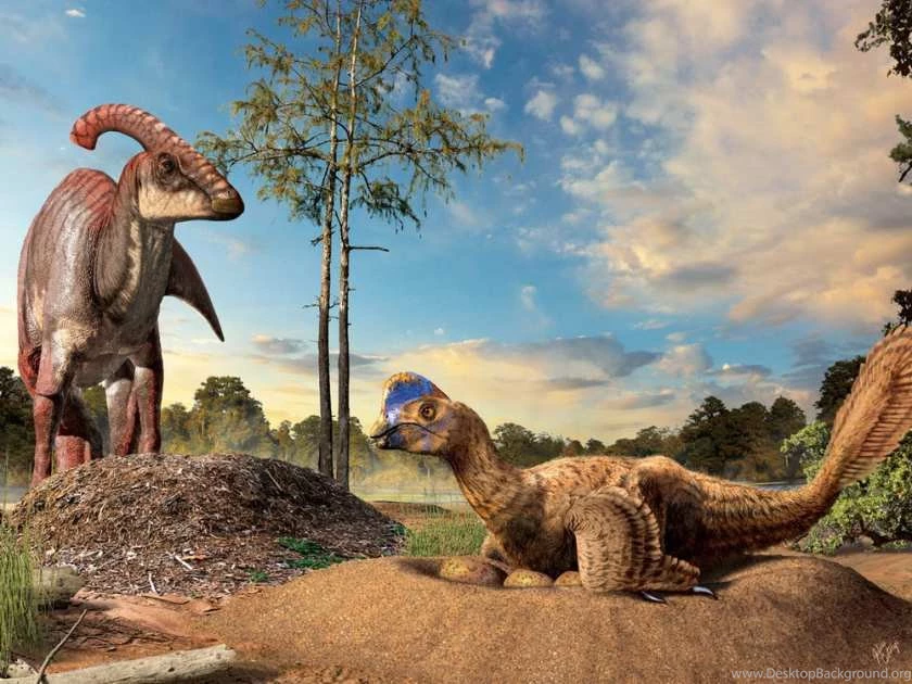 Modern Birds Can Thank Nesting Habits Of Dinosaurs For Their ...