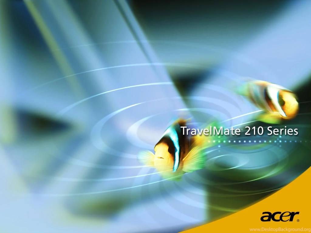 1024X768 Acer Fish Desktop PC And Mac Wallpapers