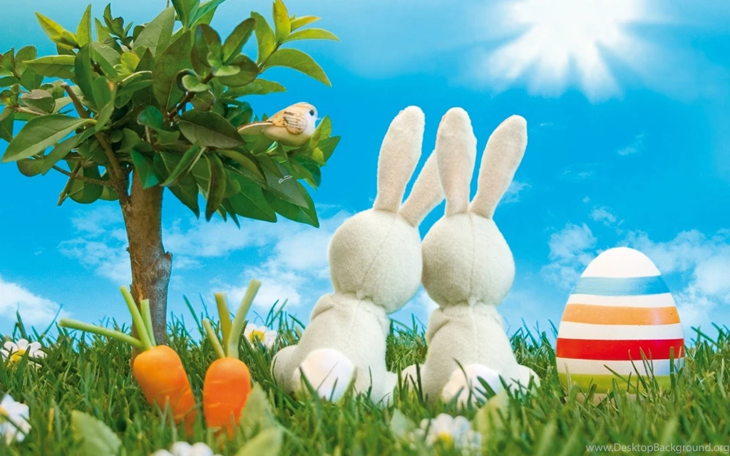Download Bunnies Humor Wallpapers 1920x1200