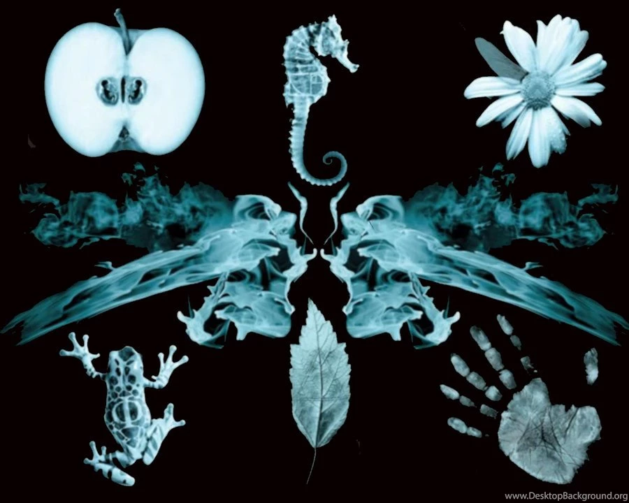 Fringe Wallpapers By Zub darkyear On DeviantArt