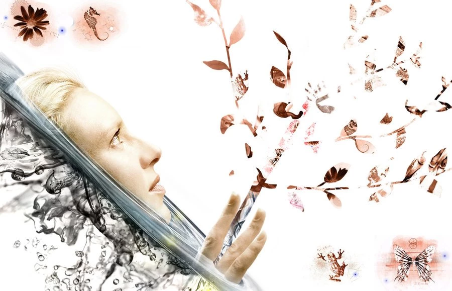 Fringe Wallpapers 1 By MooNRiSinGWorLd On DeviantArt