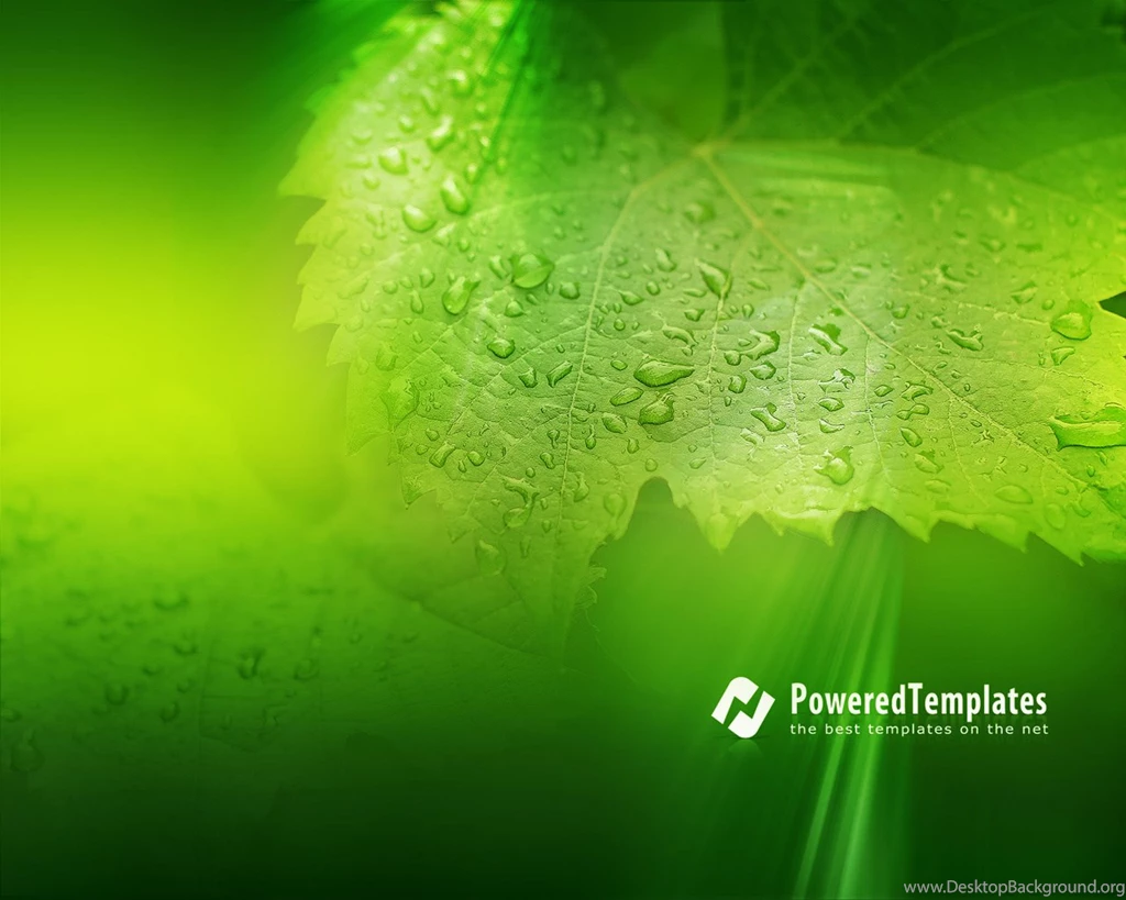 Download Free Perfect Wallpapers And Backgrounds For Your Desktop ...