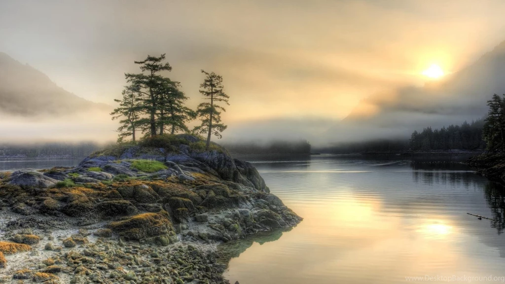 Sunset Landscapes Trees British Columbia Low Tide Wallpapers