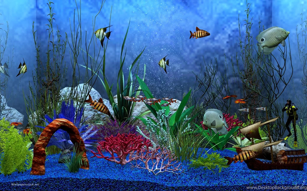 Aquarium Backgrounds Wallpapers Danasrhp.top