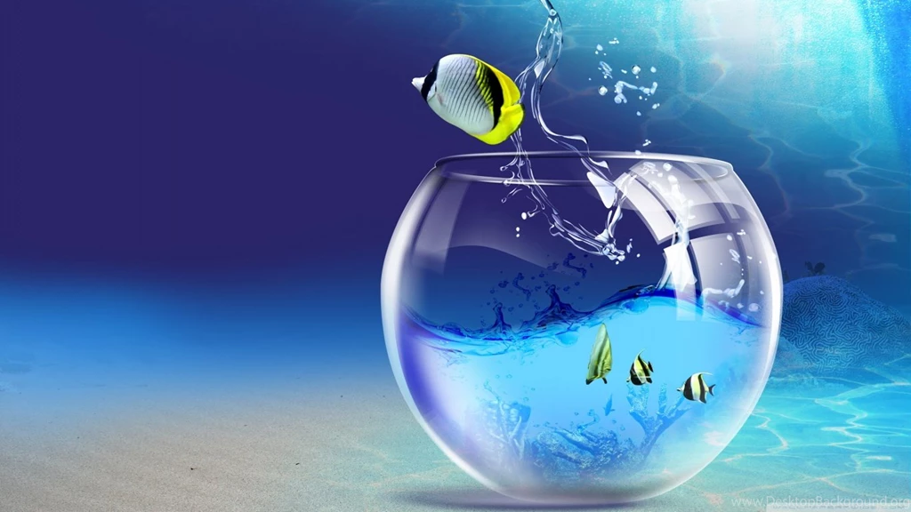 Fish Jumping Out Of Aquarium HD Desktop Wallpapers : Widescreen ...