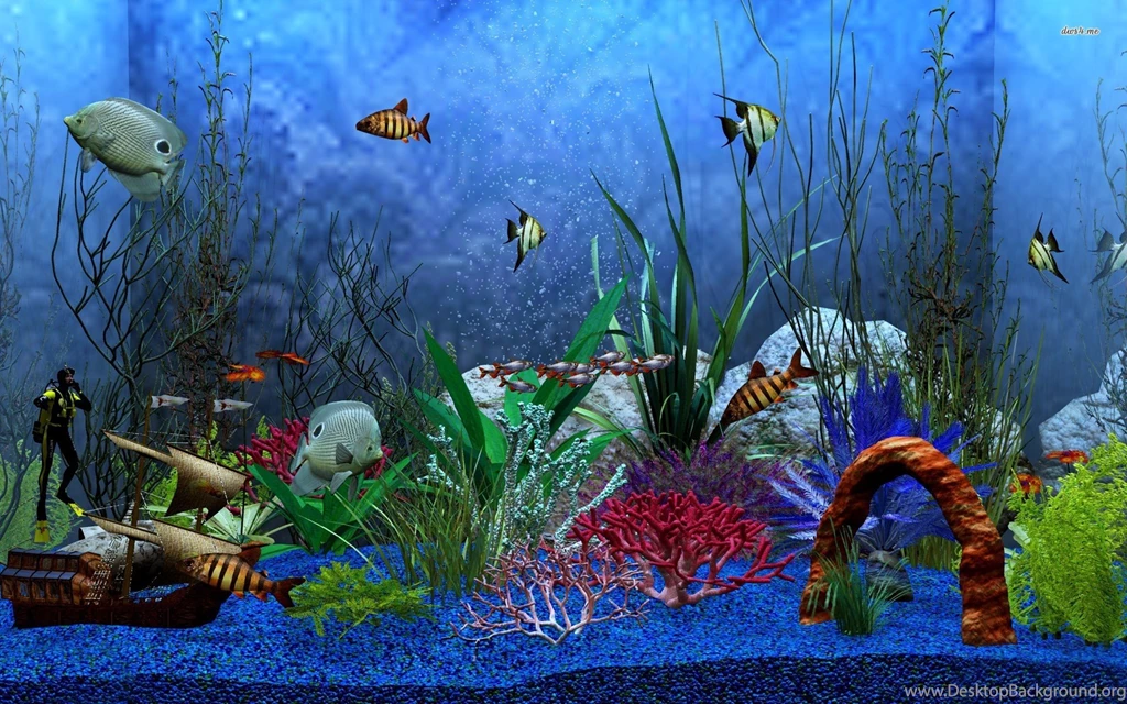 HD Aquarium Fish Tank Computer Wallpapers Full Size ...