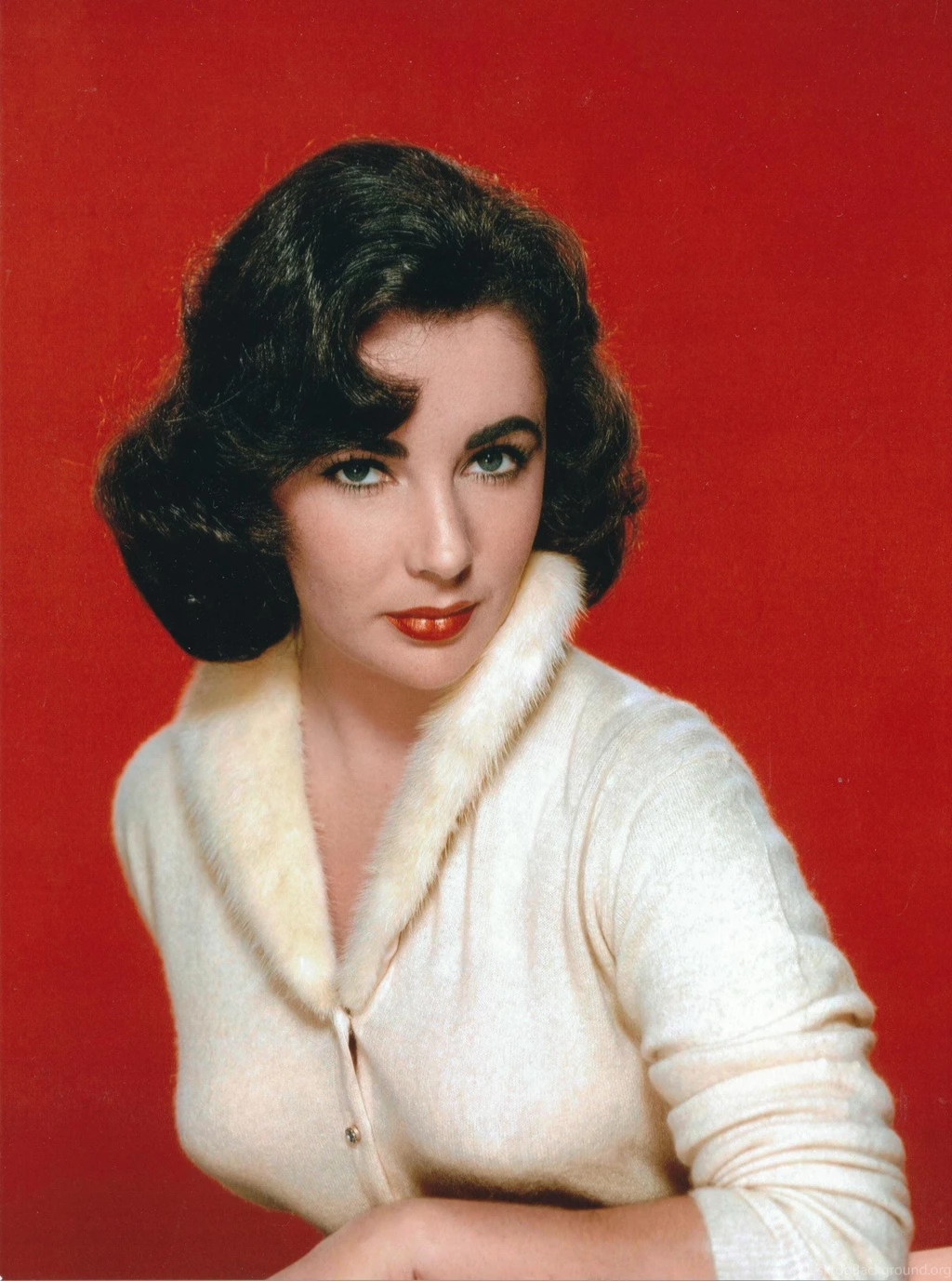 Elizabeth Taylor Photo Gallery   988 High Quality Pics Of ...