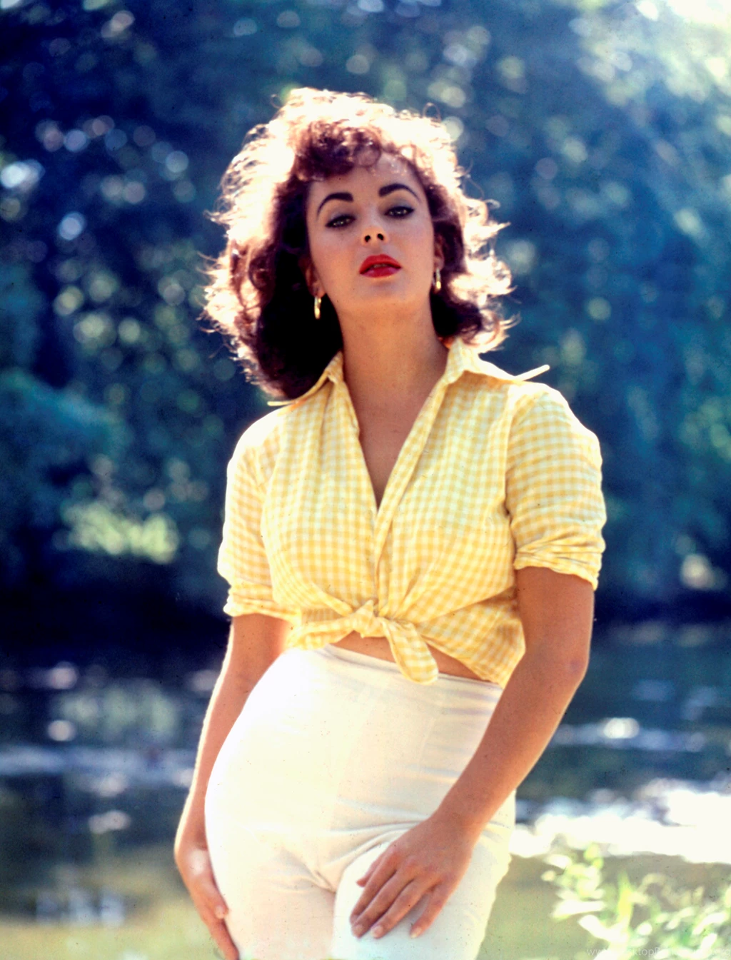 Elizabeth Taylor Photo, Pics, Wallpapers Photo