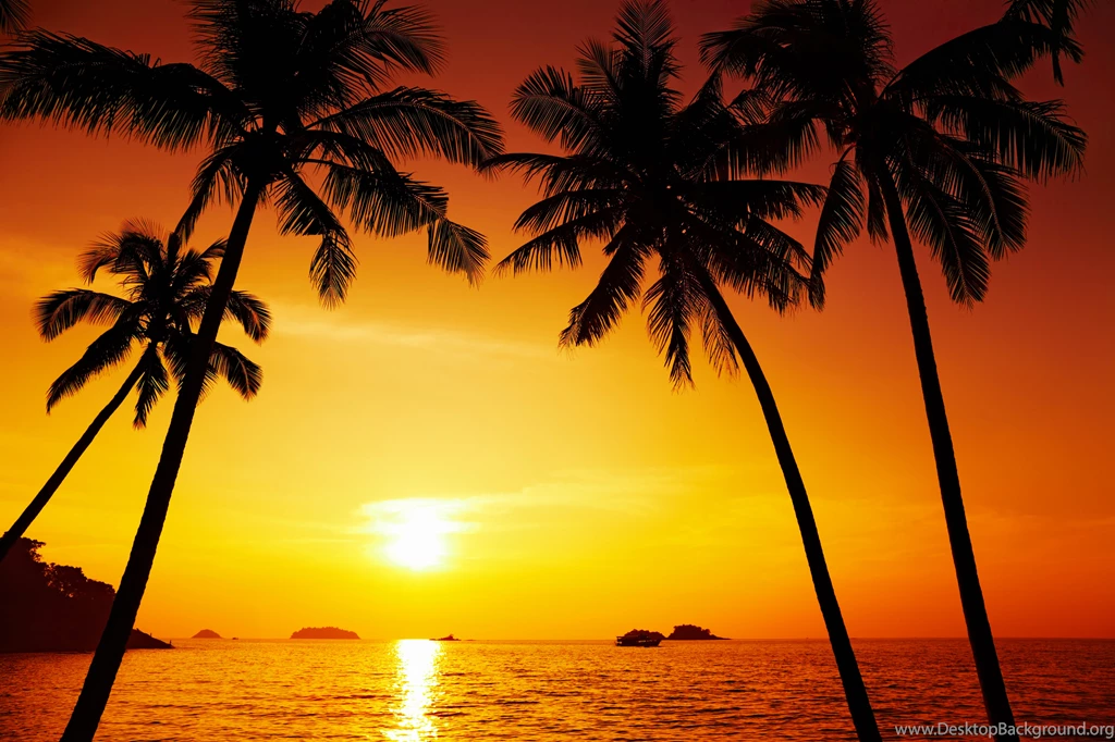 Beach_Sunset_Background.jpg?m=1432120809