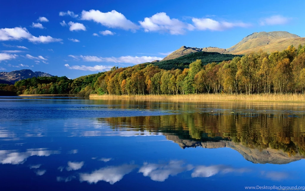 Cool desktop Wallpapers Nature HD Widescreen Wallpapers
