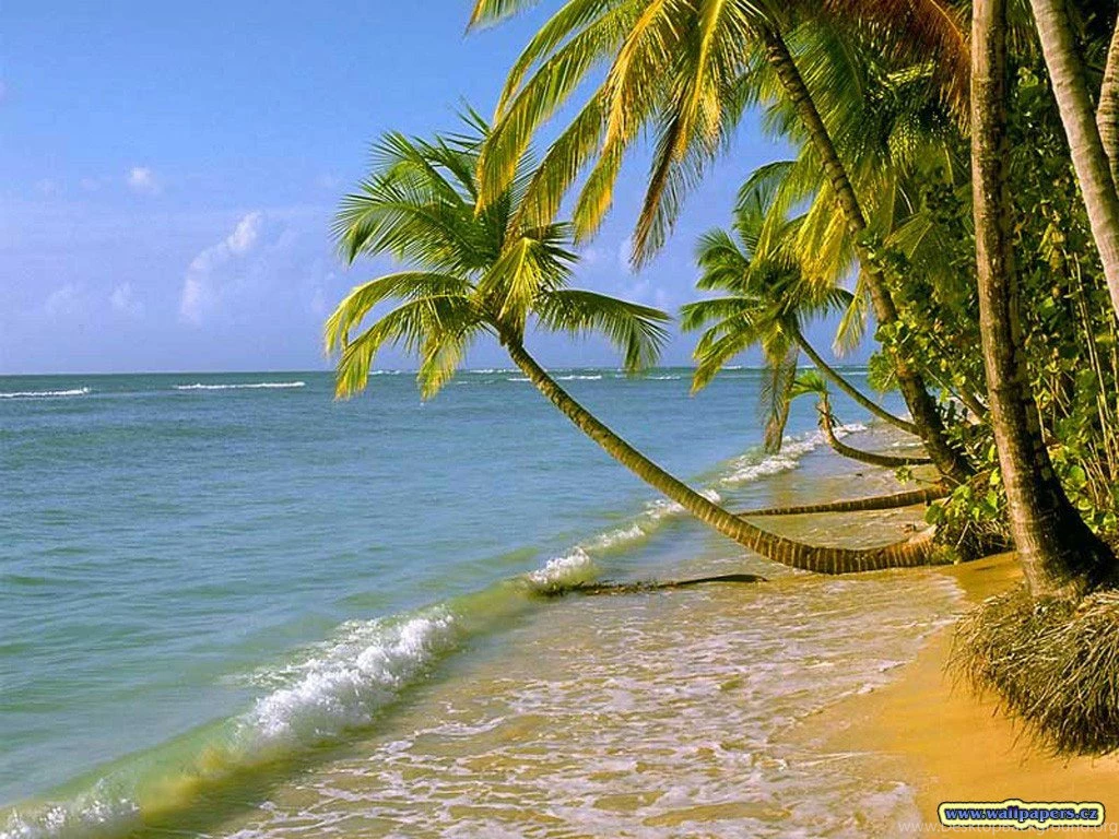 3D Nature Wallpapers For Desktop HD Wallpapers Pretty