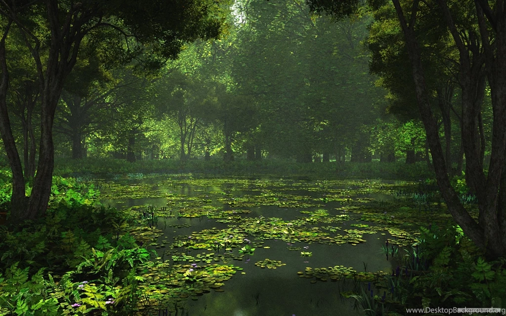 Wallpapers Of Nature For Desktop Backgrounds