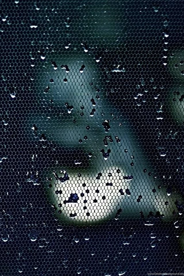 Water Drops On A Mesh iPhone 4s Wallpapers Download