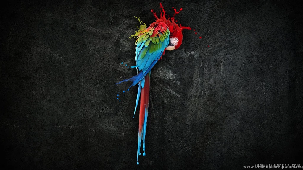 Amazing Parrot Art HD Wallpapers IHD Wallpapers