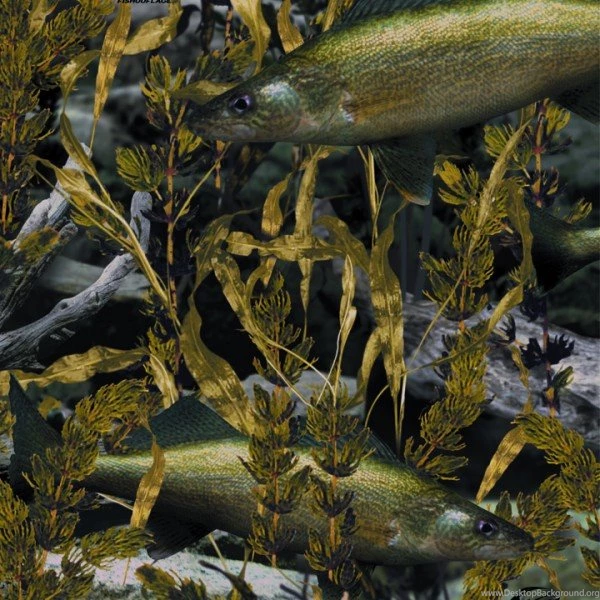 24"x35' Wallpapers Camo Addiction