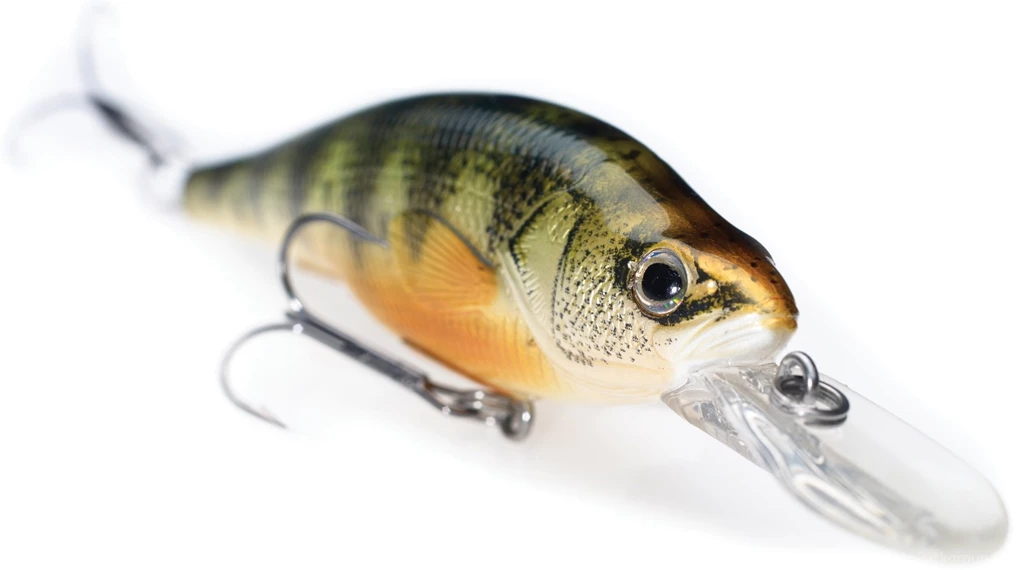 Tips Walleye Fishing Fishing Specialists
